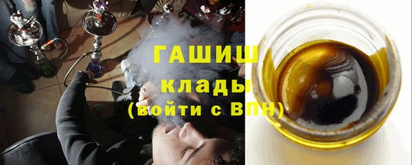 индика Богородск
