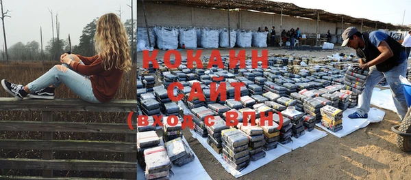 тгк Богданович