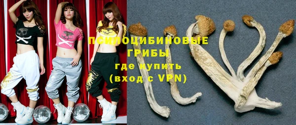 тгк Богданович