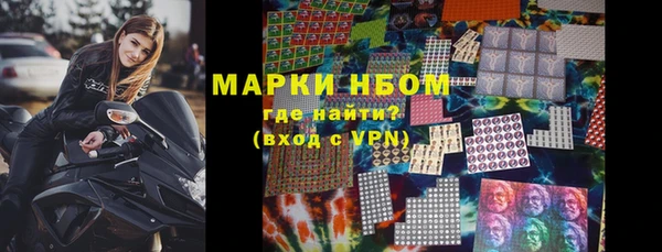 индика Богородск