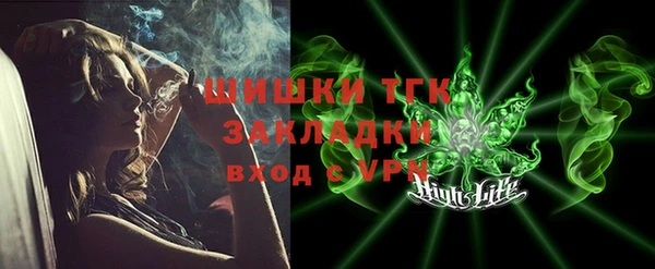 индика Богородск